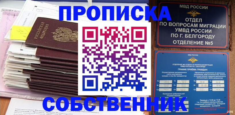 прописка законно в Меленках